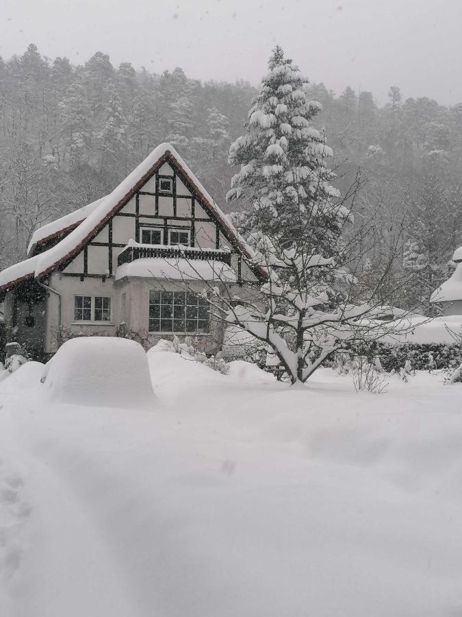 Ferienwohnung Natur Pur Muehlental 베르니게로데 외부 사진