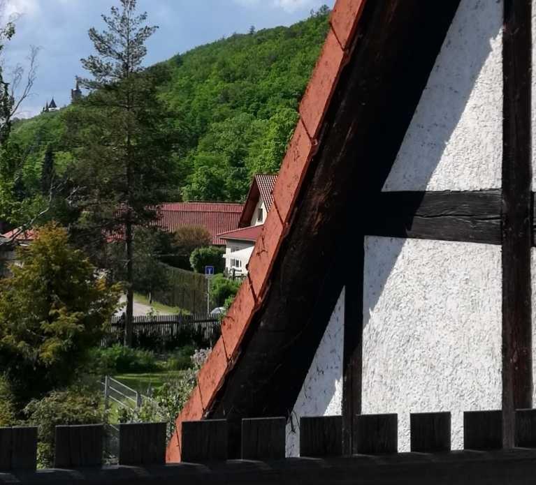 Ferienwohnung Natur Pur Muehlental 베르니게로데 외부 사진